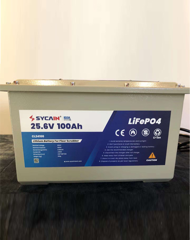 pin-lithium-may-cha-san-24v-100ah-2.jpg